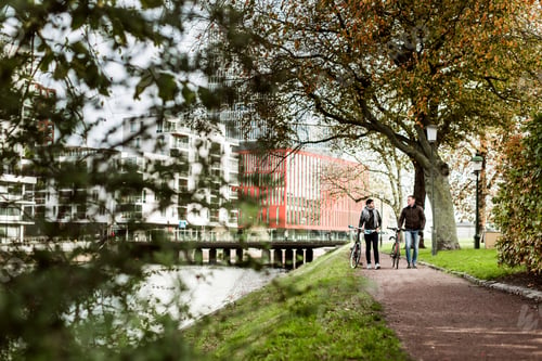Preview: Friends with bicycles walking in park