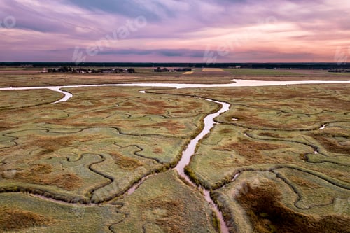 Preview: Aerial view of tidal marshland