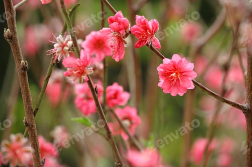 Preview: 5d 20100211 7058 raw