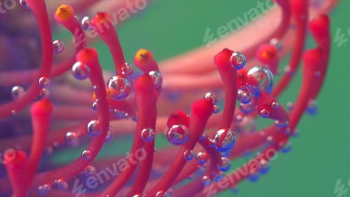 Preview: Ink with flower stamens. Stock footage. Close-up of bright flower stamens with bubbles and ink
