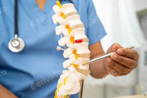 Preview: Doctor with lumbar vertebra bone skeleton and nerve model for treatment in the orthopedic