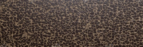Vista previa: Pattern the texture of the skin of the genuine leather