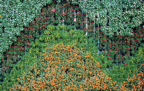 Preview: flower wall vertical garden