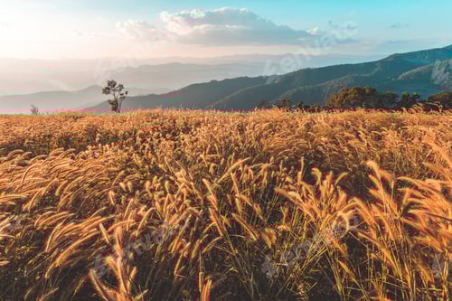 Visualização: céu dramático colorido com nuvem ao pôr do sol nas montanhas