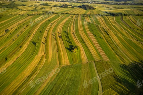 Preview: Countryside farm fields in rural Poland, aerial drone view