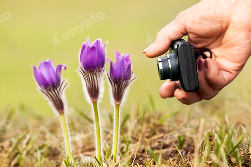 Preview: Woman taking photos