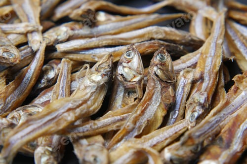 Preview: close up of dried fish on blue backgrund