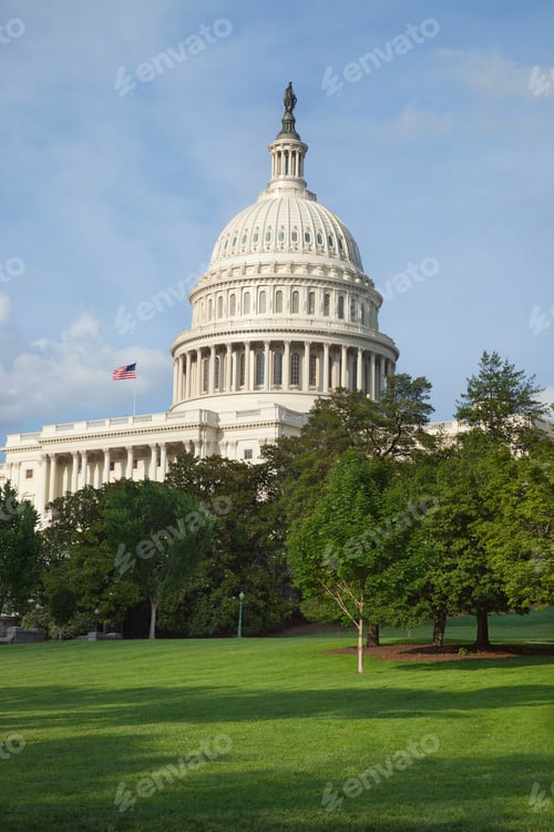 Preview: Vertical View of US Capitol Building