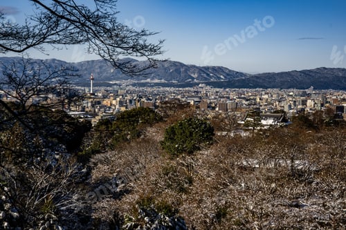 Preview: Leafless tree branches against the background of the Kyoto cityscape. Japan
