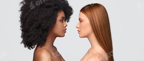 Preview: Diverse ladies standing face to face