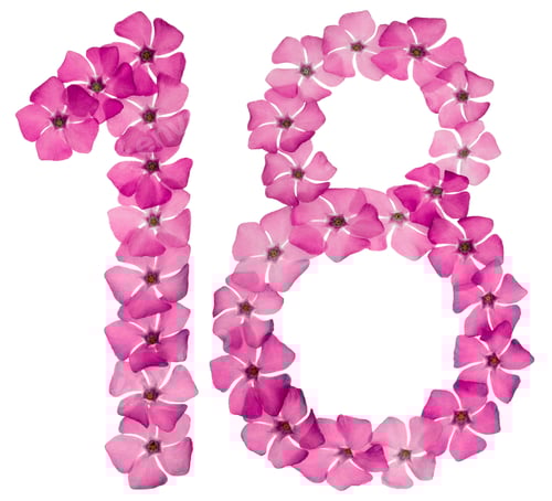 Visualização: Numeral 18, dezoito, de flores rosa naturais de pervinca, isoladas em fundo branco