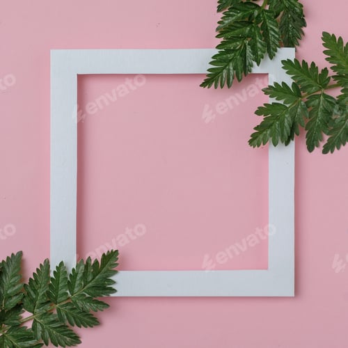 Preview: White frame with copy space and branches of green plants