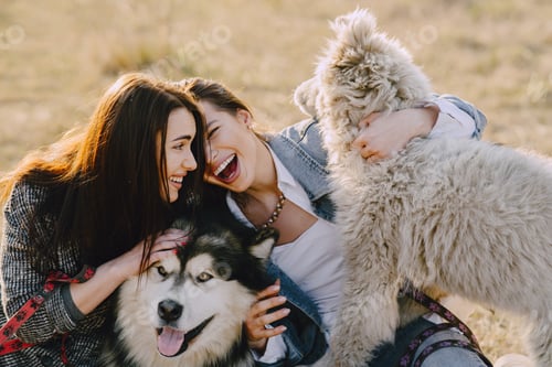 Preview: Two stylish girls in a spring field with a dog