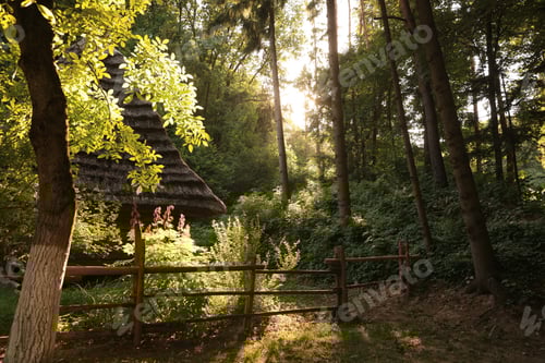 Preview: Old hut with straw roof behind fence in forest on sunny day