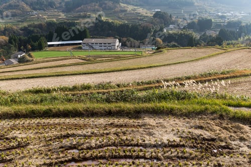 Preview: Traditional japanese countryside