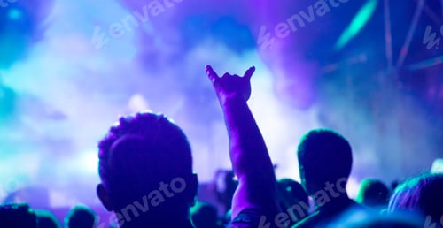 Preview: crowd at concert - summer music festival