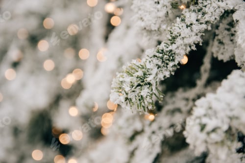 Preview: Close-up depth of field photo of a christmas tree branch covered with snow and bokeh lights.