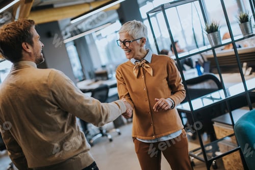 Preview: Young business man and senior business woman shaking hands in the office