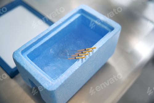 Preview: Straws with embryos are immersed in cuvette with liquid nitrogen