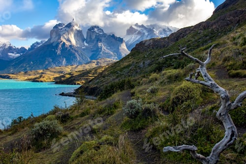Preview: Pehoe lake in Torres del Paine chilean national park in Patagonia