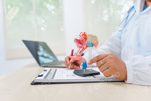 Preview: A doctor works at a desk, examining a uterus model to provide medical care and treatment