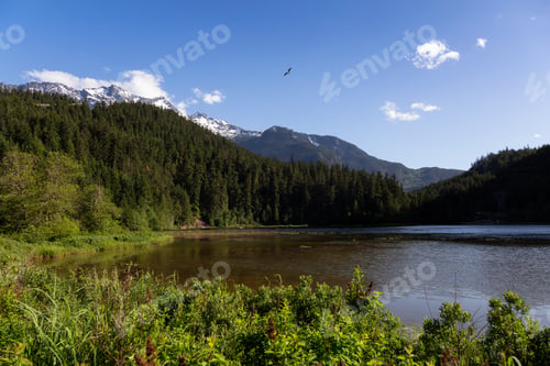 Preview: Canadian nature landscape view during a sunny day