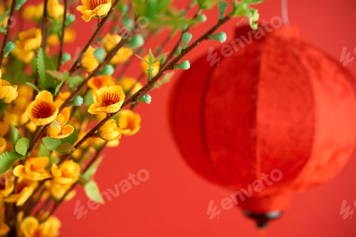 Preview: Apricot branches and paper lantern