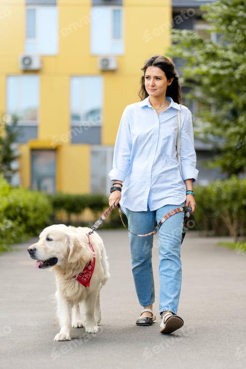 Preview: Hispanic woman wearing casual clothes leading well groomed dog, golden retriever, outdoors on street