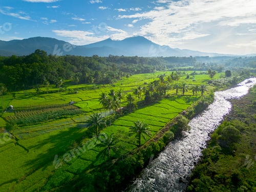 Preview: beauty landscape paddy fields natural beautiful morning view from asia