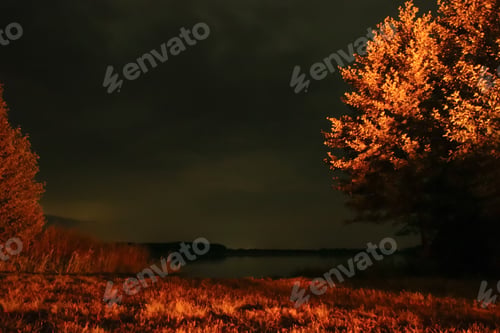 Preview: Tranquil night by the lake, starry sky reflecting in the water, autumn leaves and still waters. Blur