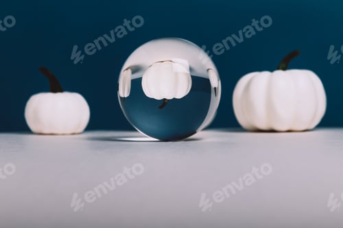 Preview: White Pumpkins. Autumn concept