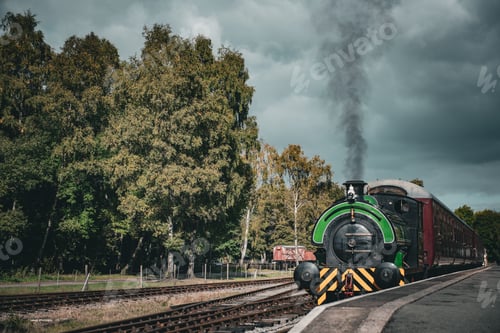 Preview: Steam locomotive driving over the railway tracks surrounded by trees during the daytime