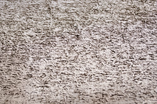 Preview: Black earthy dirty mud on transparent glass