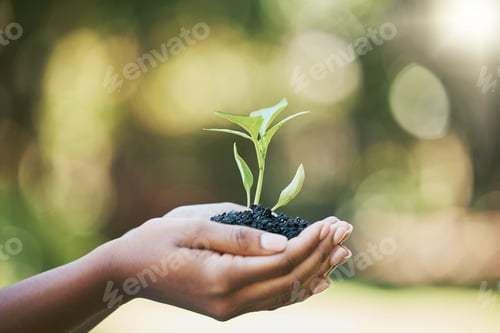 Preview: Plant, growth and hands for earth day, sustainability and gardening in nature, agriculture and farm
