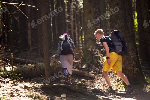 Preview: Hikers On A Trail In A Wood