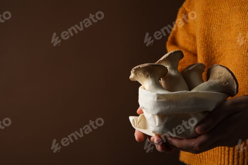 Preview: Mushrooms, concept of autumn food, autumn harvest