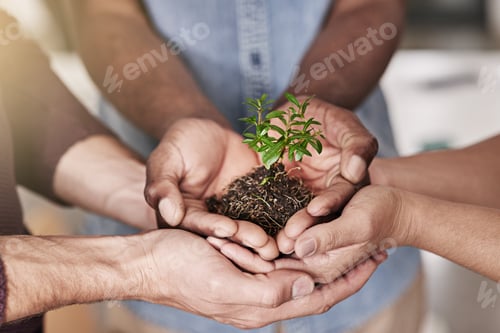 Preview: Cropped shot of a group of people holding a plant growing out of soil