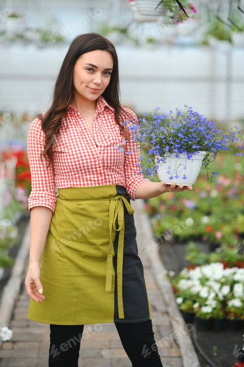 Preview: Beautiful florist at flower shop. Woman working in floral shop with copy space.