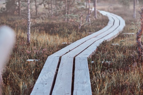 Preview: Wooden footpath on a beautiful autumn meadow in forest.