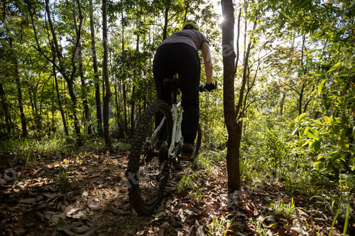 Preview: Mountain biking in spring forest