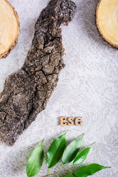 Preview: ESG environmental social management policy. Letters, leaves and bark on a gray. Vertical view