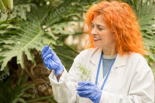 Preview: Scientist taking a sample of a plant in a greenhouse