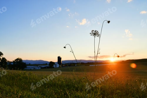 Preview: Sunset across farmland with mountains, flowers, fields, barn, silo. American Heartland