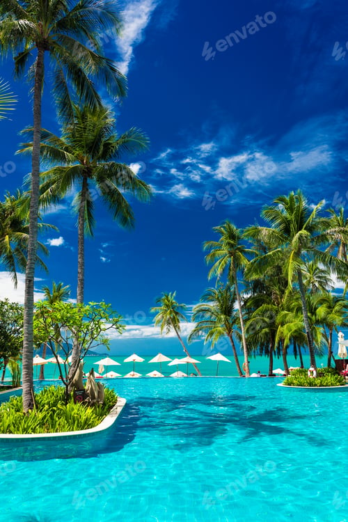 Preview: Large infinity swimming pool on the beach with palm trees and