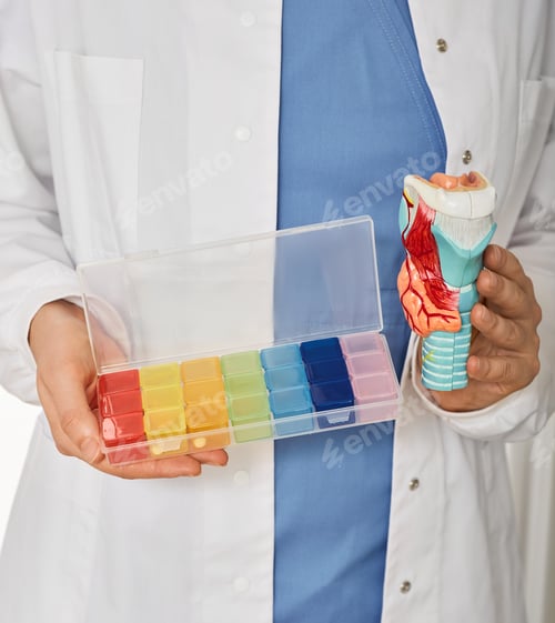 Preview: Thyroid health concept in healthcare. Thyroid anatomical model and pill organizer in