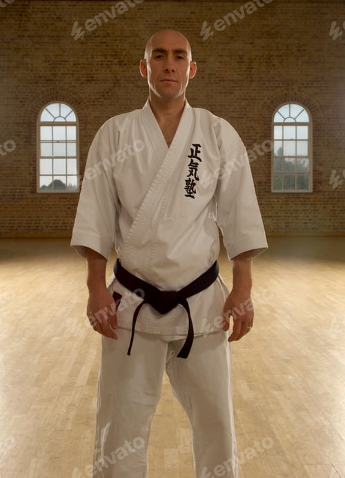 Preview: karate fighter in a kimono
