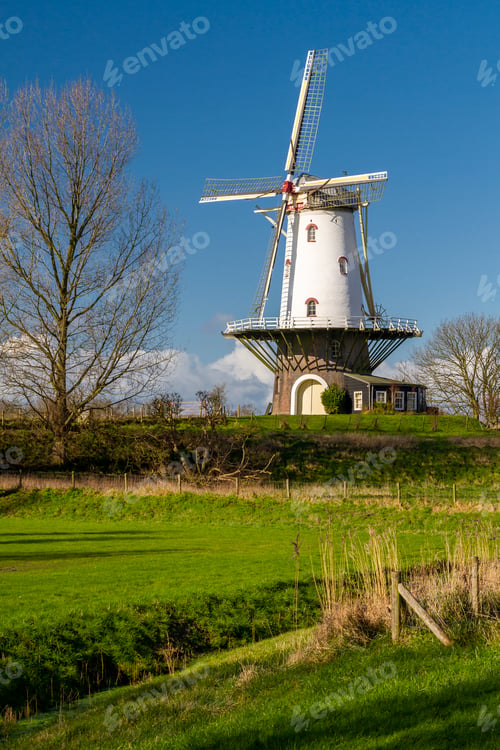 Preview: White windmill in Veere 1