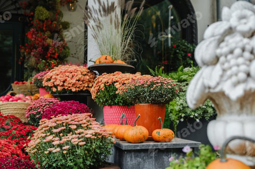 Preview: Vibrant autumn mums and pumpkins displayed outdoors in planters with stone accents.