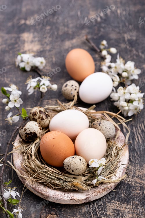 Preview: Easter composition with eggs and blooming branch