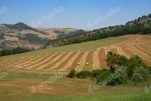 Preview: Country landscape near Gambatesa and Jelsi, Molise, Italy
